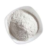 China origin acid activated bleaching earth CS1040