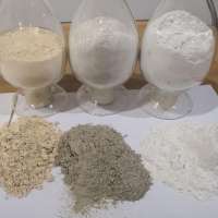 Diatomite absorbent high quality diatomaceous earth powder