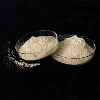 CCM magnesium oxide agriculture grade for fertilizer